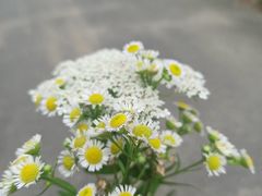 -渭河城市绿地运动公园