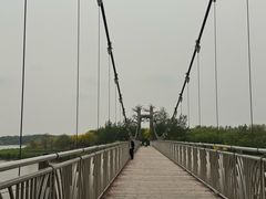 -西青郊野公园