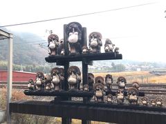 -岚山嵯峨野观光小火车