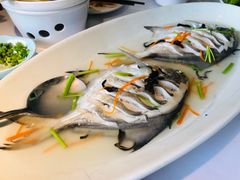 -开海·红岛海鲜虾水饺(石老人店)