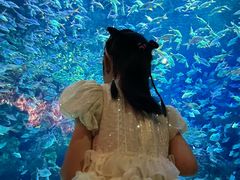 -成都浩海立方海洋公园