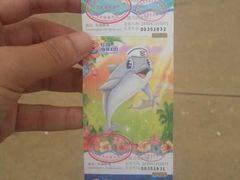 -珠海横琴长隆《卡卡虎奇遇记》