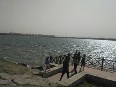 -丁香湖公园