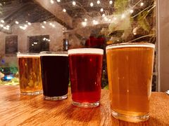 覆盆子酸啤-Arrow Factory Brewing箭厂啤酒