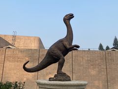 -自贡恐龙博物馆