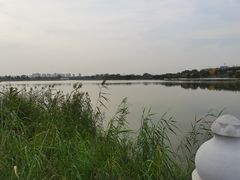 -北京麋鹿生态实验中心
