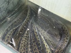 -鱻鱼捞.祥祥鱼锅(高淳一店)