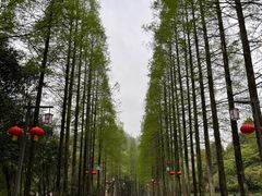 -青城山