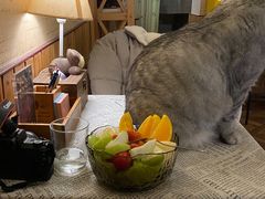 -隅cafe(傅厚岗店)