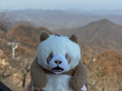 -栾川竹海野生动物园