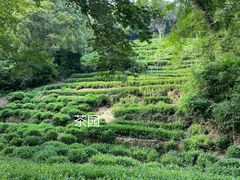 -灵隐飞来峰景区