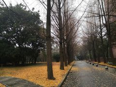 -西南交通大学(九里校区)
