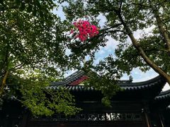 -枫桥景区