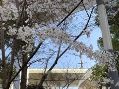 -锦江乐园(地铁站)