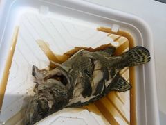 -盒马鲜生(丁香国际店)