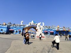-石家庄极地海洋世界