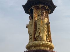 -溱湖国家湿地公园