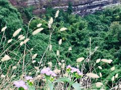 景点-丹霞山风景名胜区