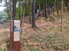 -阳台山森林公园