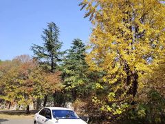 -胜华驾校·小猫学车(银都店)