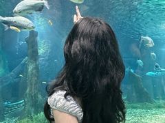 -福州罗源湾海洋世界旅游区