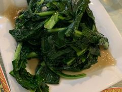 清炒板蓝根-烤肉季饭庄