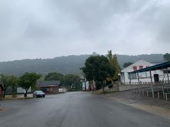 -呼吸森林·生态农庄农家乐私房菜