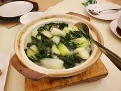 上汤奶白菜-利苑酒家(金宝店)