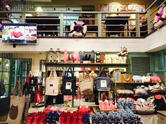 -猫咪博物馆(顶澳仔猫街店)