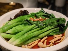 -新白鹿餐厅(松江开元地中海店)