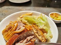 金奖卤鹅肉饭-陈鹏鹏潮汕菜(宝安机场T3航站楼店)