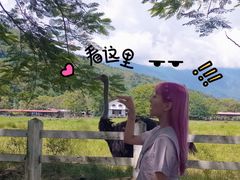 -瑞穗牧场