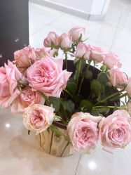 -Cream88颜皮肤管理中心