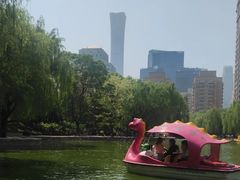 -团结湖公园