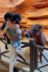 -酷嗒动物文化乐园(cutezoo西溪乐天城店)