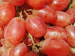 -成都世纪城假日酒店-西楼