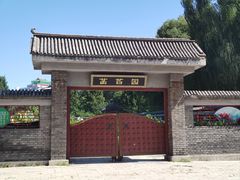 -莲花池公园
