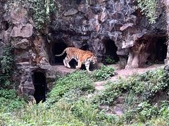 -杭州动物园