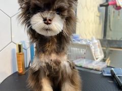 -萌兽医馆·眼科·异宠专科(三里屯店)