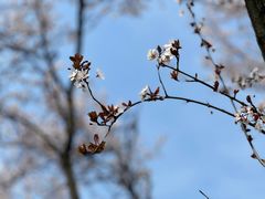 -梁溪河畔·吉府花园(南长街南下塘店)