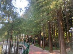 -深圳龙潭公园