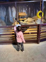 -酷嗒动物文化乐园(cutezoo西溪乐天城店)