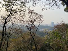 -岳麓山风景名胜区