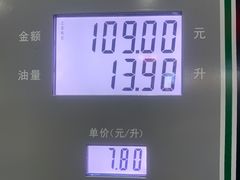 -中国石化龙禹石油加油站