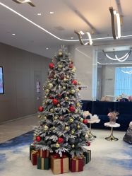 -深圳米兰柏羽医疗美容医院