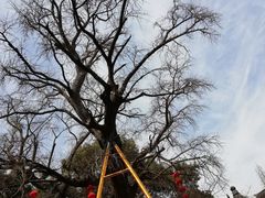 -无锡惠山寺