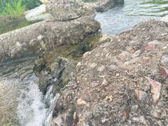 -汇龙潭