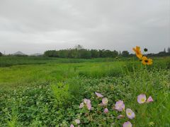 -良渚古城遗址公园