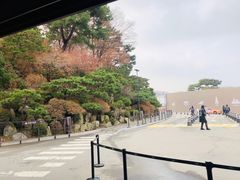 -新罗免税店(首尔总店)