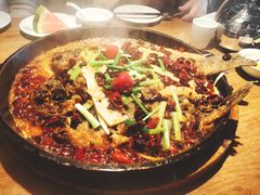 -老板恋上鱼(印象城店)